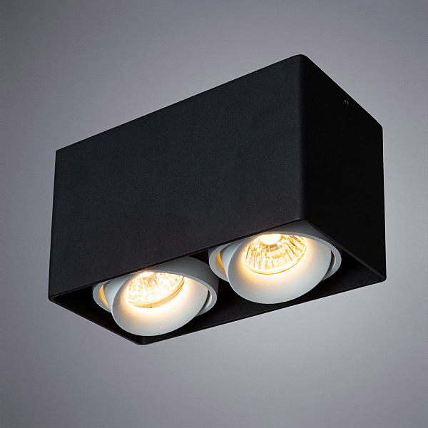 Накладной светильник Arte Lamp Pictor A5654PL-2BK
