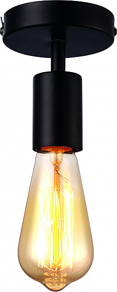 Светильник потолочный Arte Lamp FUORI A9184PL-1BK