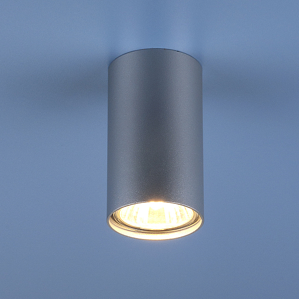 Накладной светильник Elektrostandard 1081 1081 GU10 SL серебро (5257)