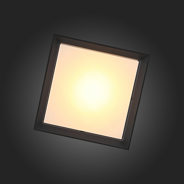 Уличные потолочные ST Luce Cubista SL077.402.01