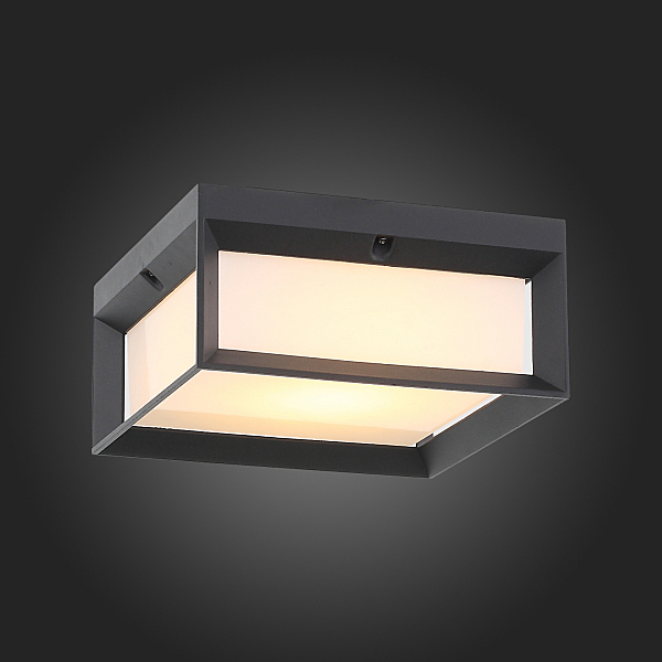 Уличные потолочные ST Luce Cubista SL077.402.01