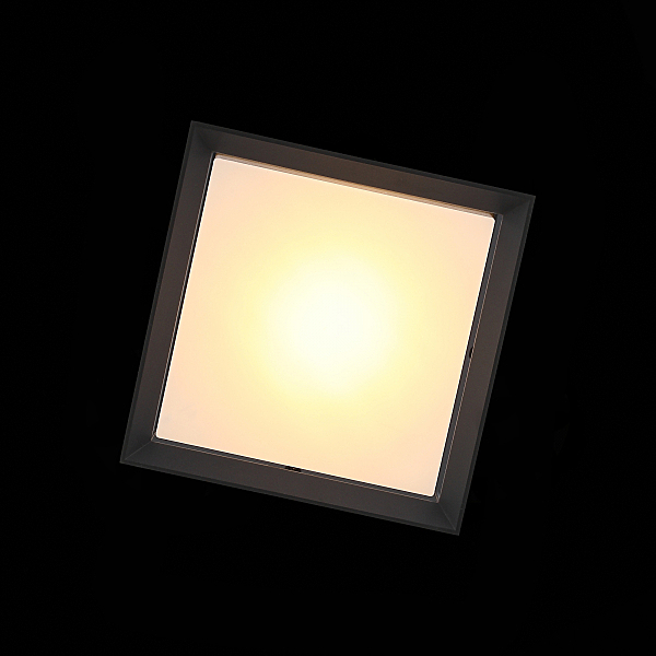 Уличные потолочные ST Luce Cubista SL077.402.01