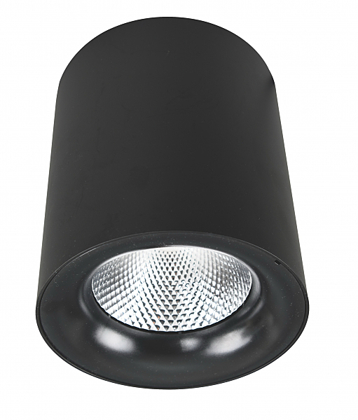 Накладной светильник Arte Lamp Facile A5130PL-1BK