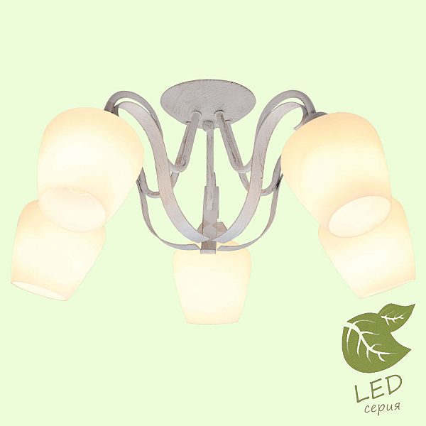 Потолочная люстра Lussole Fayetteville GRLSP-9909