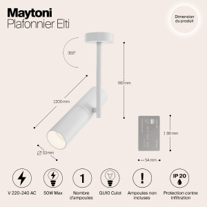 Светильник потолочный Maytoni Elti C020CL-01W