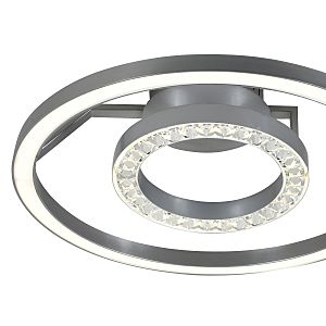 Потолочная светодиодная люстра Sanori Favourite 2593-2U