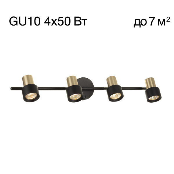 Светильник спот Citilux Sat CL505641