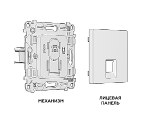 Розетка Ambrella Volt ALFA MA812030